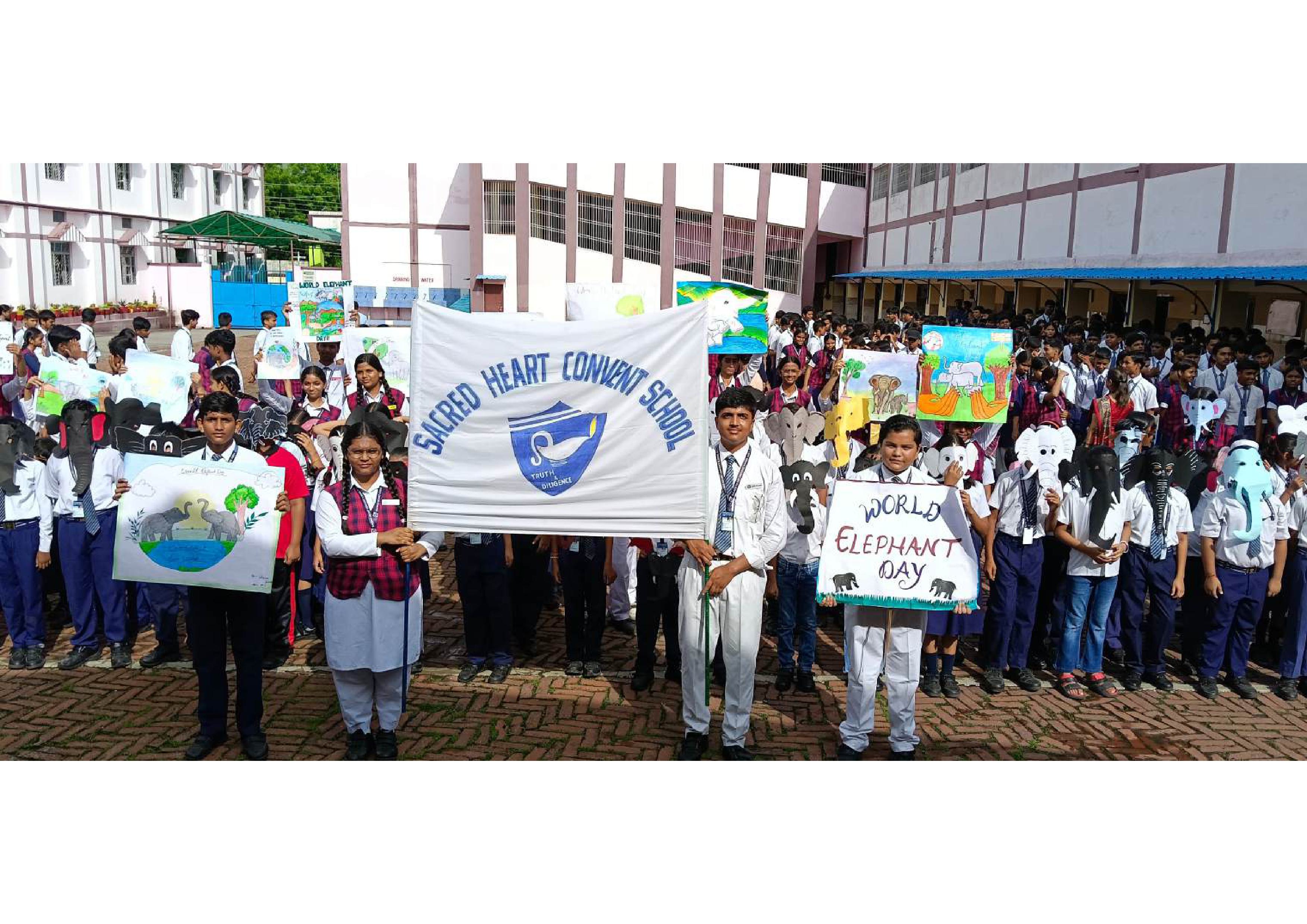 WORLD ELEPHANT DAY CELEBRATION 2025-2026