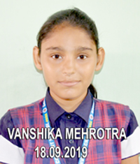 VANSHIKA MEHROTRA