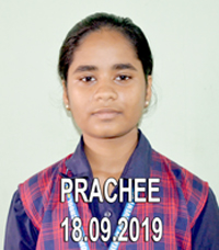 PRACHEE
